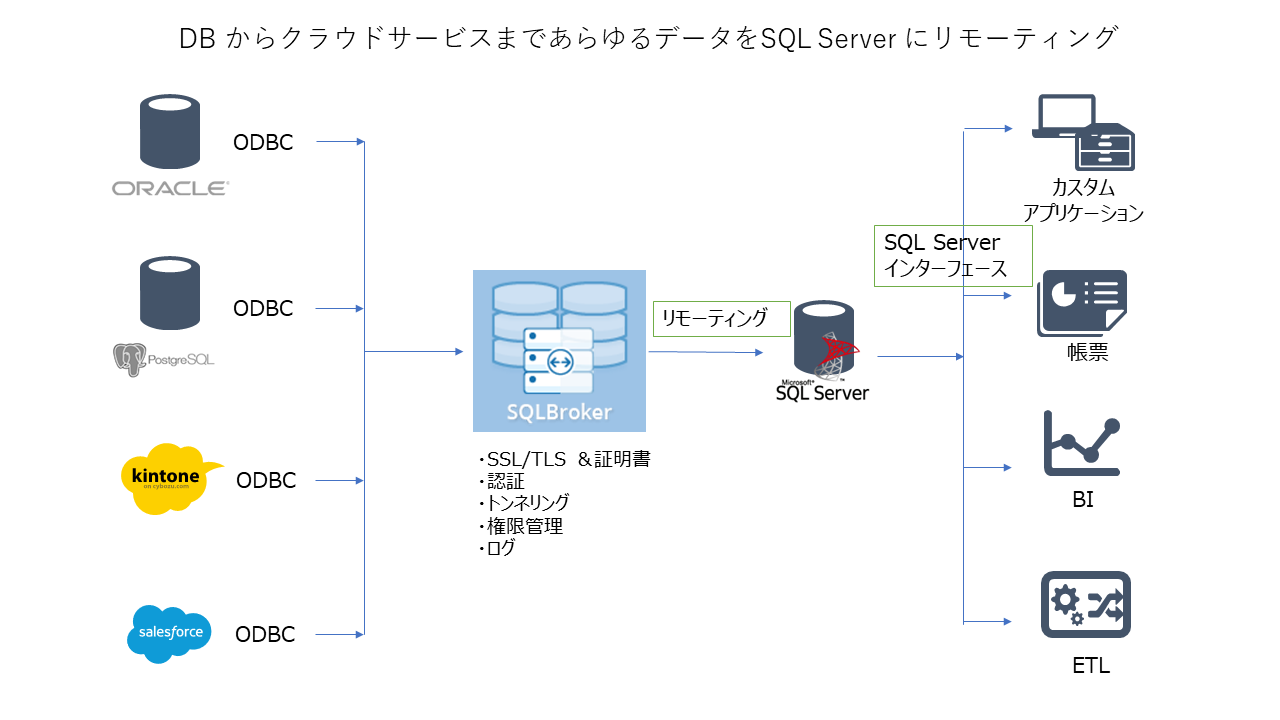 Sql Server にkintone リンクサーバーを作成 Powerbiやtableau からデータを参照 Cdata Software