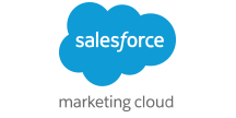 Salesforce Marketing Logo